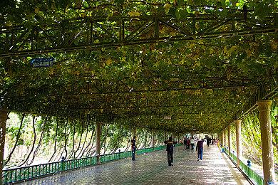 第一人称射击游戏新作《DEFICIT》公布游戏预告片